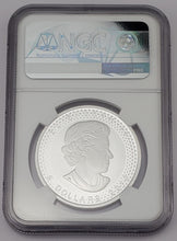 Load image into Gallery viewer, 2019 Pride of Two Nations Canada S$5 Silver Maple NGC Modified PF 70 FD
